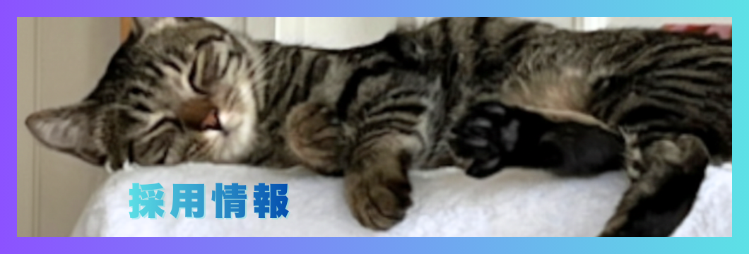 a-blog cms Vre.3.2 編集UI・テンプレート機能強化 運用も制作もすべての体験をアップデート